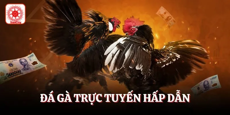 Tận hưởng các ván chơi đá gà trực tuyến hấp dẫn 